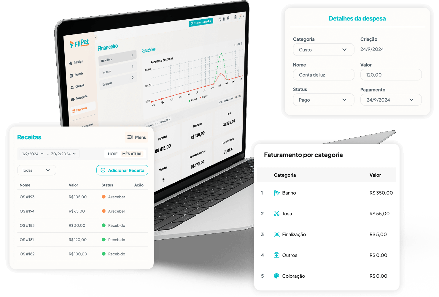 Tela de financeiro no computador
