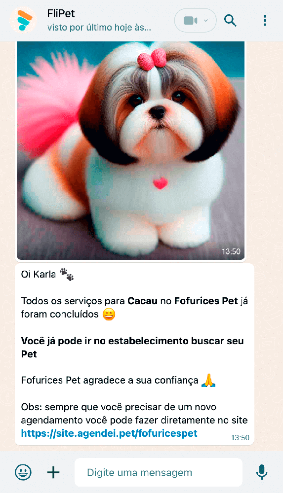 Mensagem automática no Whatsapp com foto do pet pronto
